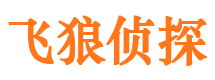 新津市侦探调查公司